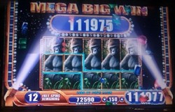 Queen Of The Wild Slot Machine Queen Of The Wild Slot Machine
